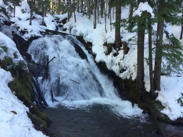 Little Zigzag Falls in the Mt Hood National Forest in the snow