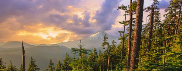 Scenic Summer View of Mt Hood