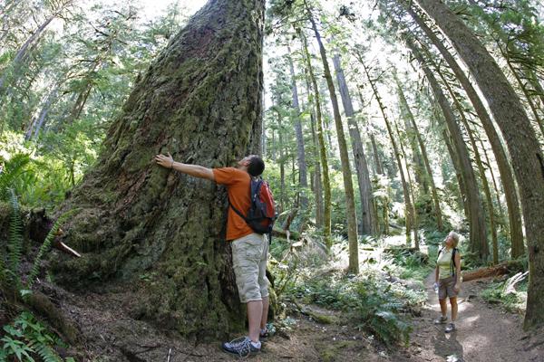 Hugging an Old Growth Douglas Fir Tree on the Salmon River Trail