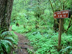 Castle Canyon Trailhead